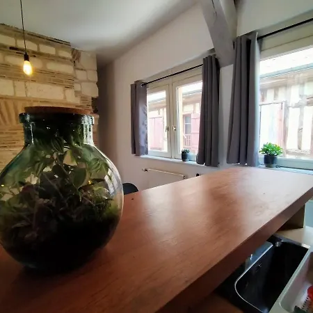 Chez Caty Apartamento Troyes